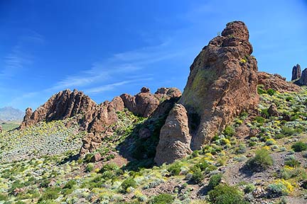 McDowell Mountain Regional Park, February 12, 2015